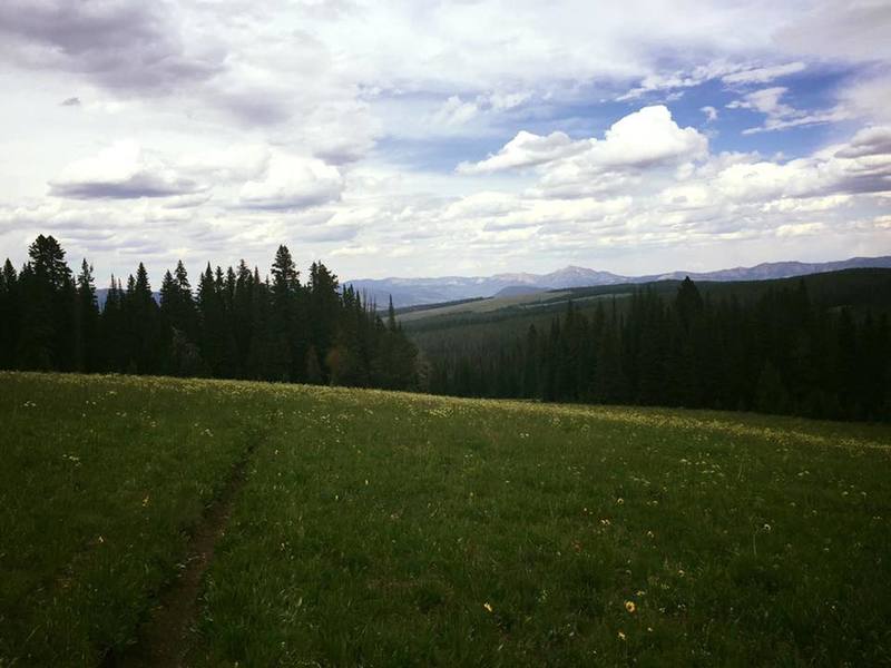 About 3/4 of the way up the climb...singletrack narrows significantly.