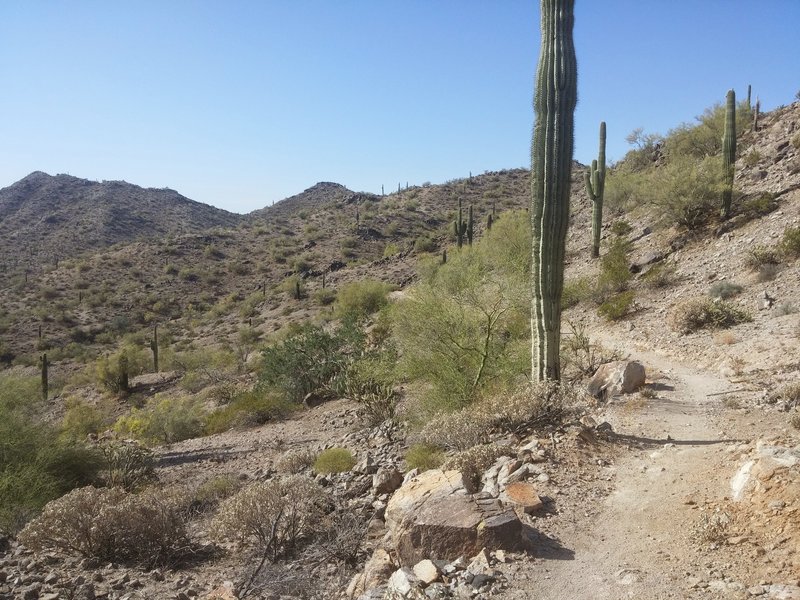 Rainbow Valley Trail