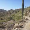 Rainbow Valley Trail