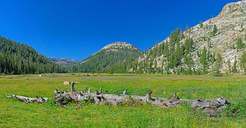 Looking down Horse Meadow toward Sachse Monument. Remarkable green and covered with flowers.