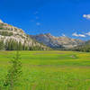 Looking up Horse Meadows from near junction with Huckleberry Trail with Grizzly Peak in the center background