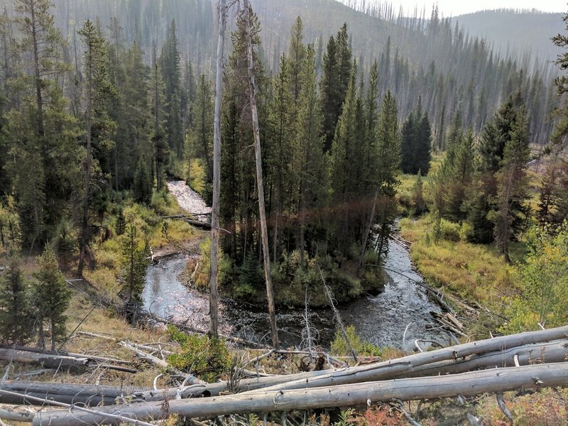 One of the many twists and turns of Specimen Creek.