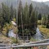 One of the many twists and turns of Specimen Creek.