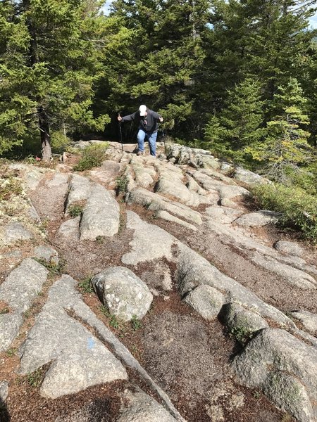 Climbing brief stretches of granite outcrops with trekking poles on Beech Cliff Loop Trail