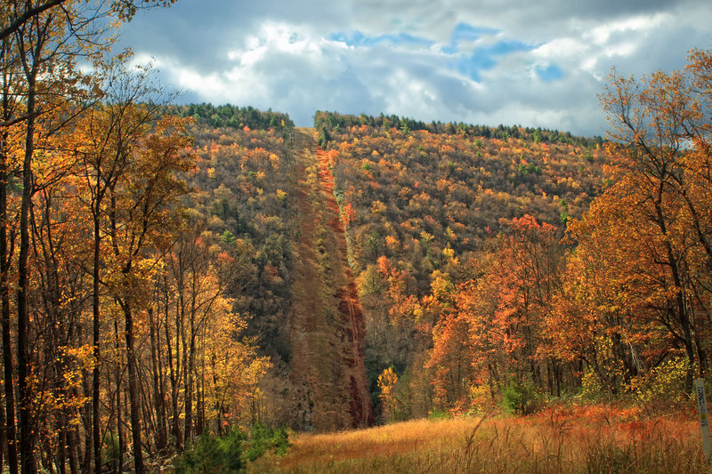 Detweiler Run Natural Area