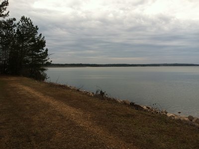 A great view of the lake from this sitting bench along the trail.