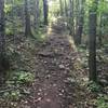 Starting the Escarpment Trail.