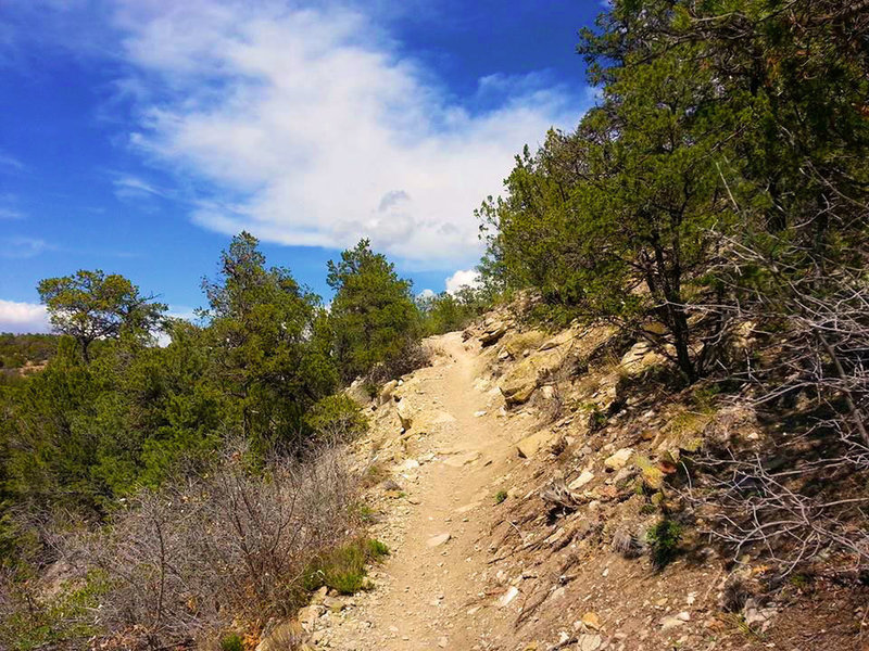 Tunnel Canyon has some challenging climbs.