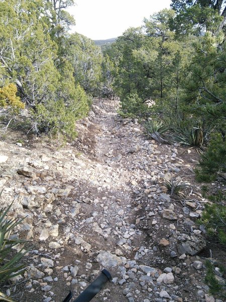 Western section is steep and loose.