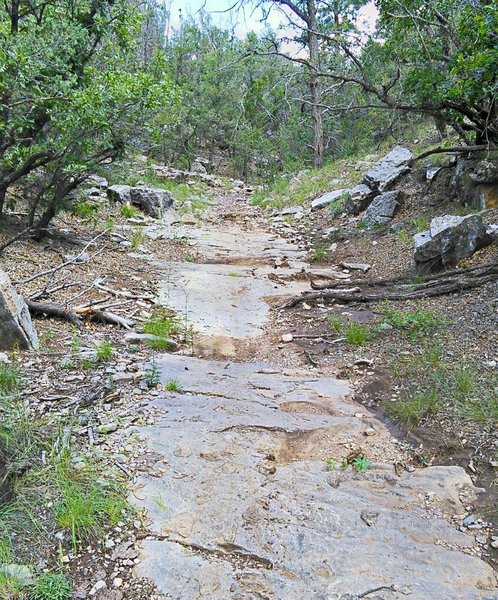 Bedrock pavement in the arroyo.