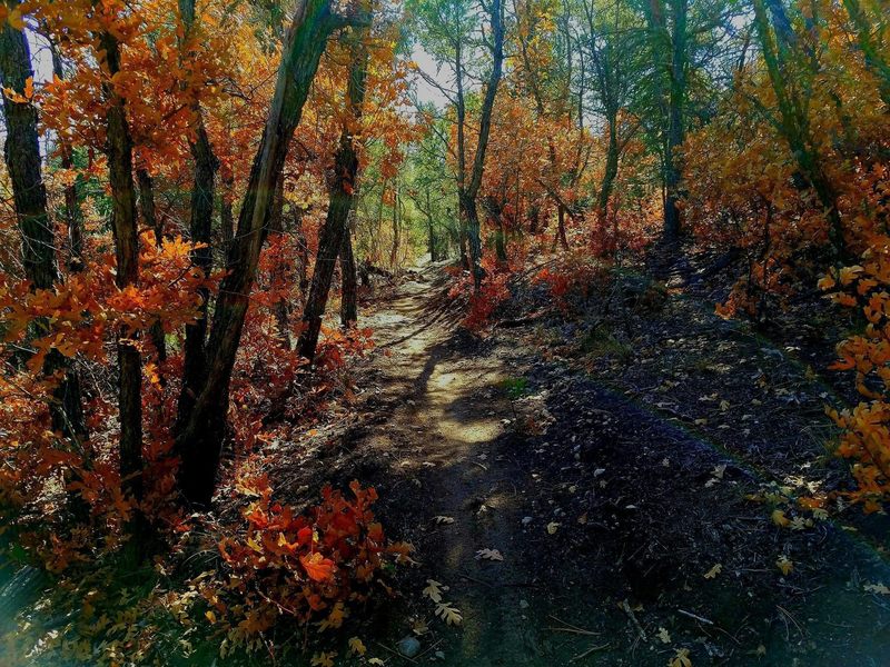 Southern crossing in the fall. Awesome trail.