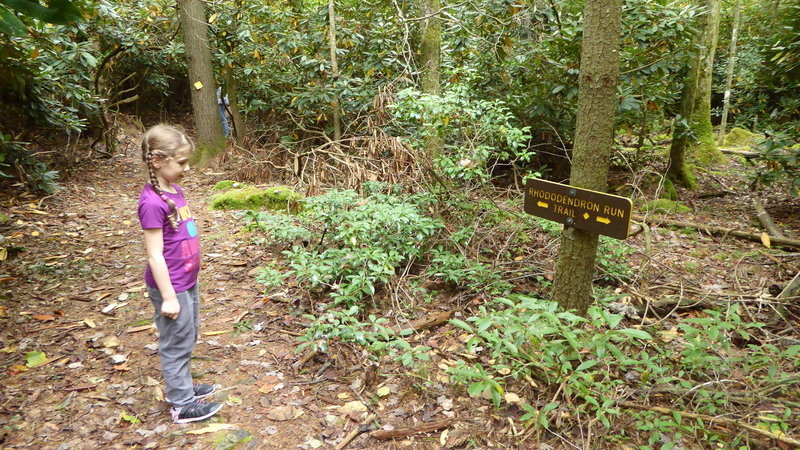 A walk in the Little Beaver State Park (WV).