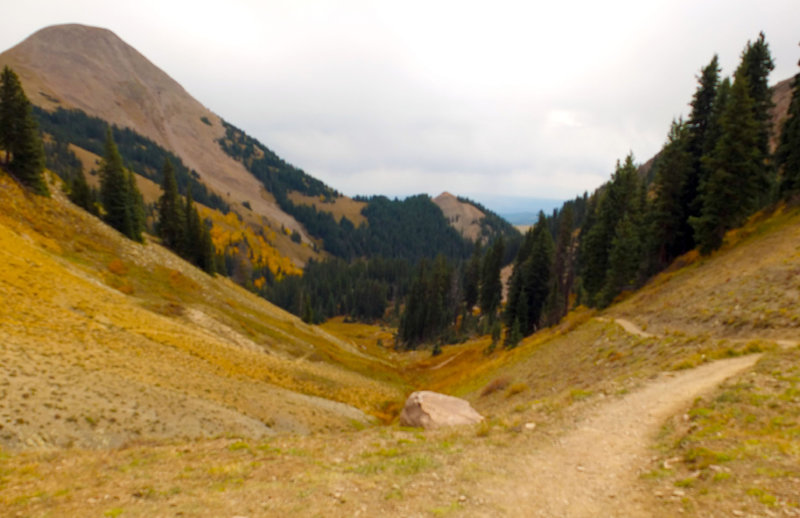 The view back down the trail up to Burro Pass.