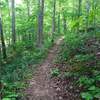 Typical scenery along the lower limb of East Armuchee trail.