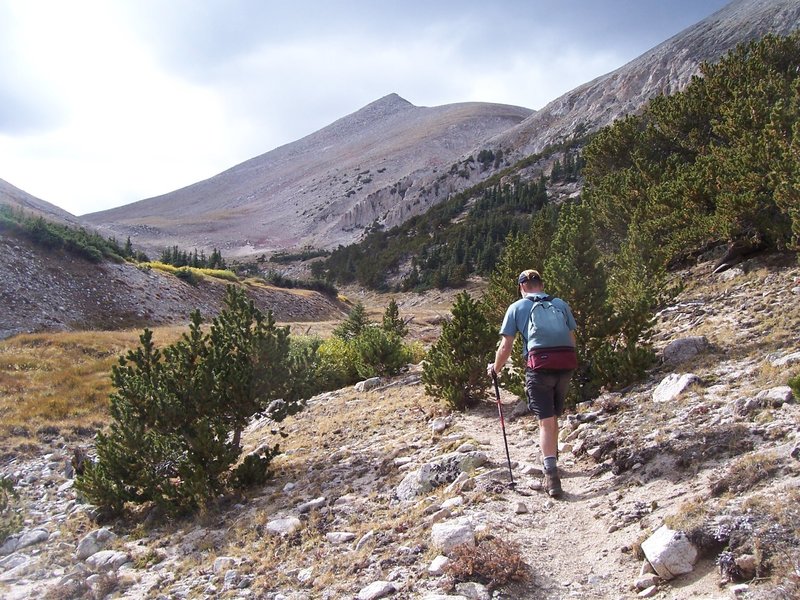 Approaching treeline