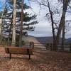 Bench on Rim Trail.