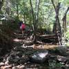 Creek crossing on Marshall Gulch