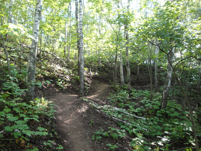 Amity East Trail