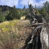 Looking NW on Eldorado Canyon Trail