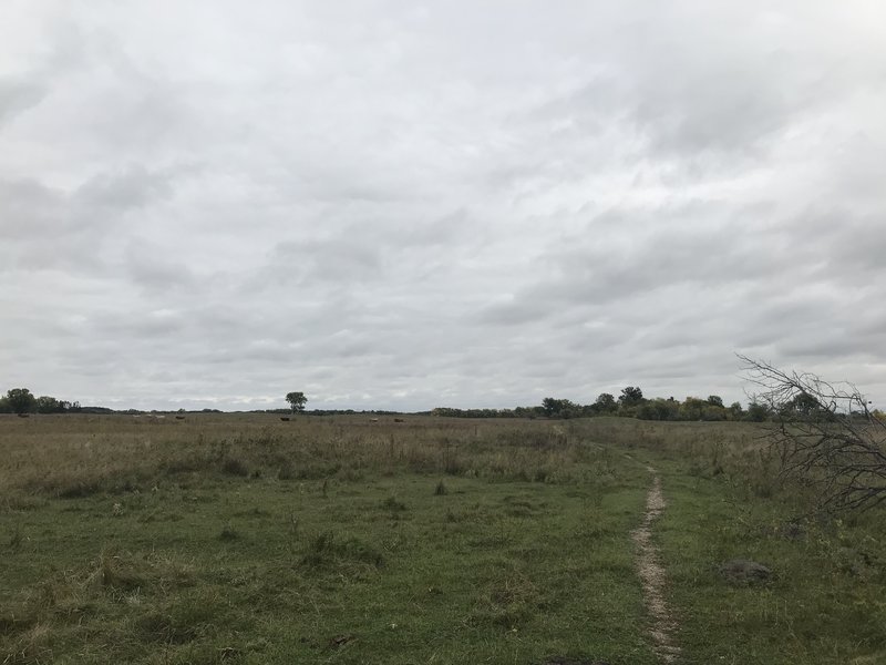 A typical view from the trail