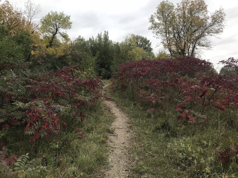 The colors are beautiful in autumn!