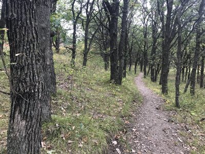 There are a few wooded areas on the trail.