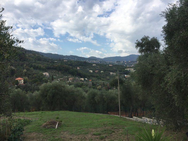 Looking inland at the many villas.