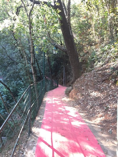 This portion of the trail is literally a red carpet!