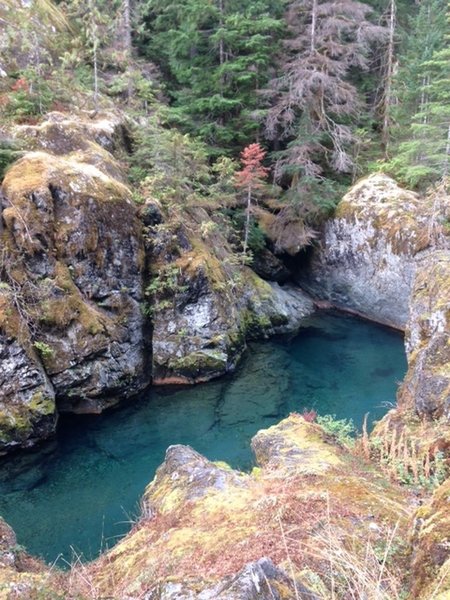 A tranquil pool along the Duckabush.