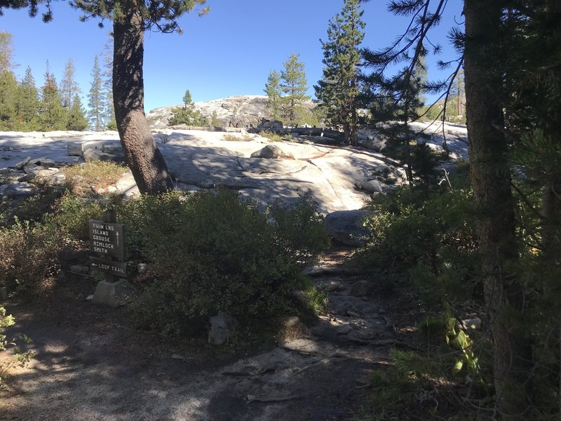 Twin, Island, Grouse, Hemlock, Smith vs. (Wrights Lake) Loop Trail Fork.