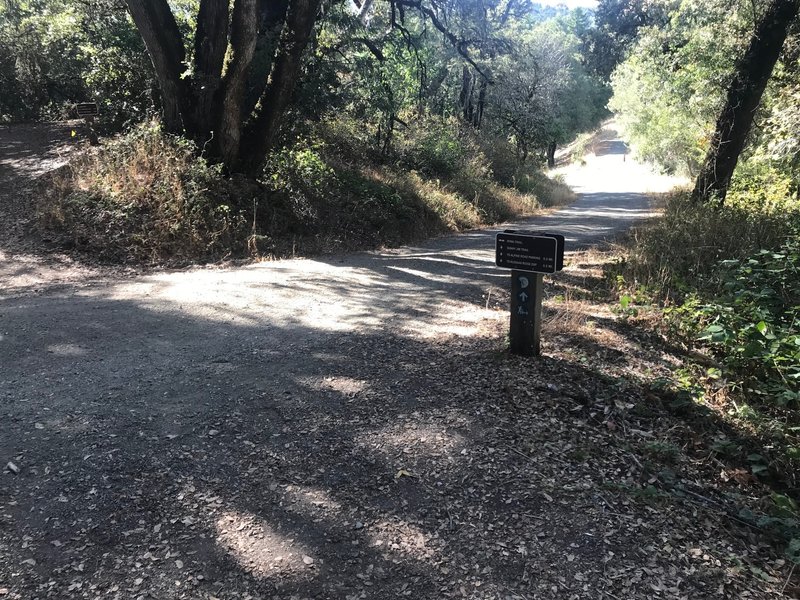 The trail crosses the Sunny Jim Trail and proceeds to Alpine Pond.