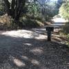 The trail crosses the Sunny Jim Trail and proceeds to Alpine Pond.