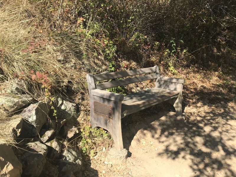 A bench offers you a place to rest in the shade.