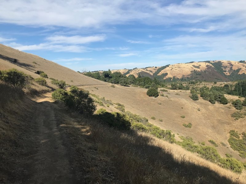 Looking back at the fields before entering the woods.