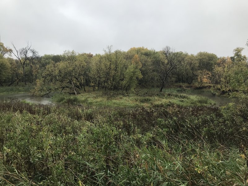 Scenic area on the river near the beginning of the walk