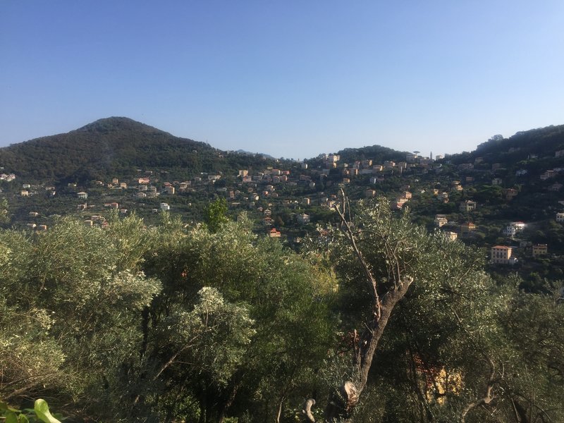 Views of the villas across the valley