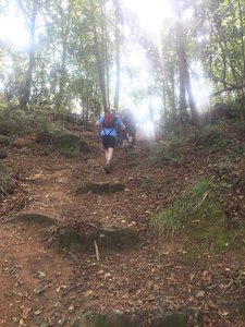 Ascending the last hill before a picnic spot.
