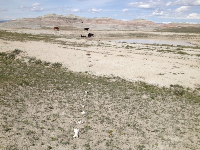 Interesting Trail Markers