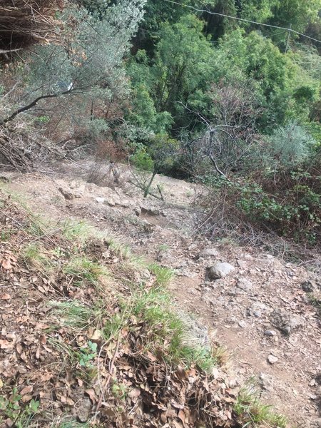 The rapid descent from Pietre Strette to San Fruttuoso is a mix of switchbacks and steps