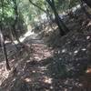 Looking back up the trail. Thankfully for those ascending from San Fruttuoso, the trail is well shaded!