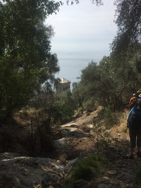 Approaching the guard tower at San Fruttuoso with a few goats grazing.