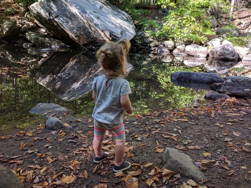 Streamside near the trailhead