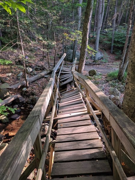 Bridge in bad condition on the return trail.