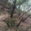 Ascending the switchbacks in the cover of shade trees