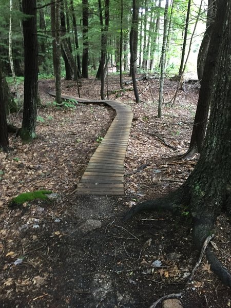 Pillar to Pond bridges.