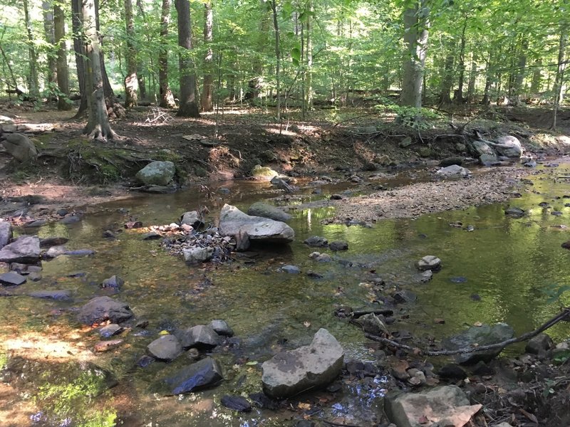 Stream cutting through Morning Choice Trail.