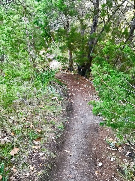 Smith Greenbelt to Hamilton Green Belt Connector Trail