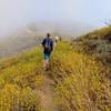 Popular trail on a July 4th.  he trails personality changed every few minutes due to the patchy low clouds.