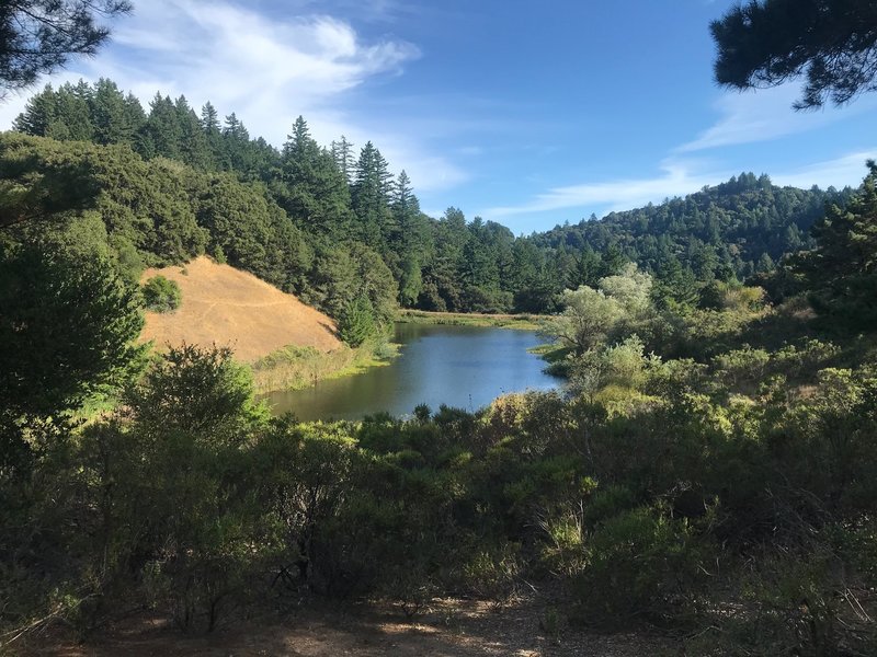 The view of Horseshoe Lake from the trail.