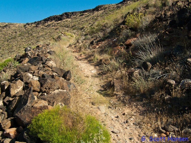 Broken Mesa Loop Trail initially climbs toward the Broken Mesa Rim.